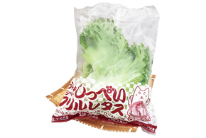 しっぺいフリルレタス